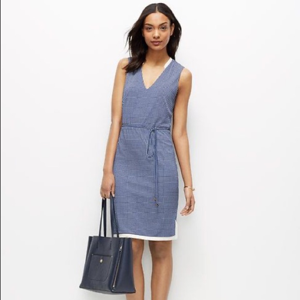 Ann Taylor Metro Dot Crepe Tie Front Dress